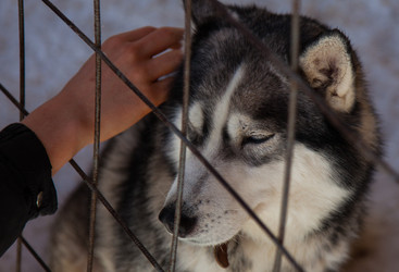 Similar image 7473243