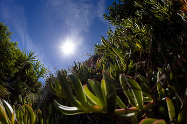 Similar image 7473280