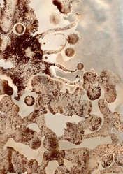 Similar image 7473319