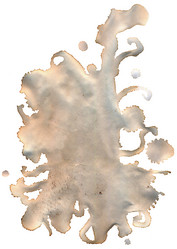 Similar image 7473320