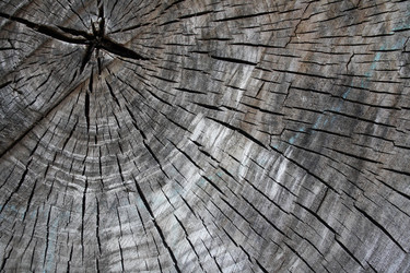 Similar image 7473324