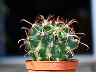 Similar image 7473444