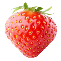 Similar image 7473486