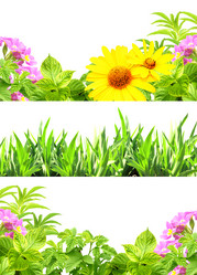 Similar image 7473641