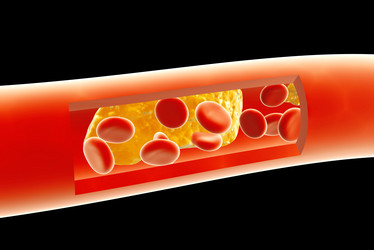 Similar image 7473664