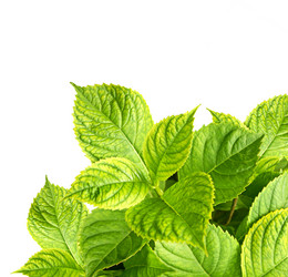 Similar image 7473675