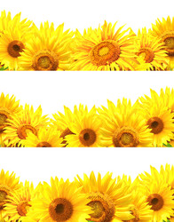 Similar image 7473685