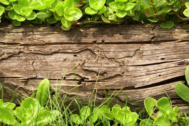 Similar image 7473705