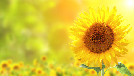 Similar image 7473727