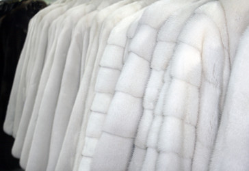 Similar image 7473730