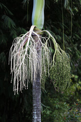 Similar image 7473779