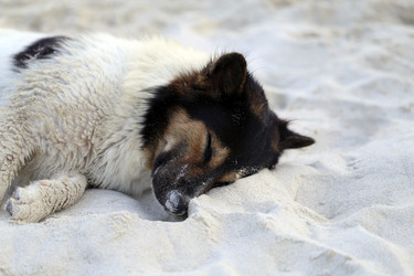 Similar image 7473787