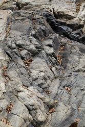 Similar image 7473801