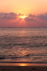 Similar image 7473820