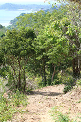 Similar image 7473864