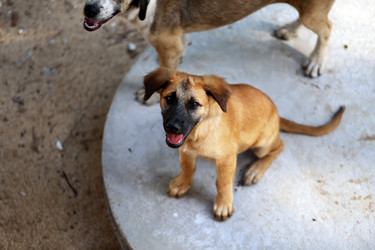 Similar image 7473876