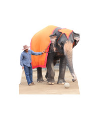 Similar image 7473877