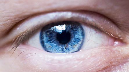 Similar image 7474101