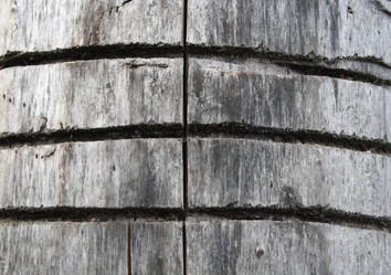 Similar image 7474108