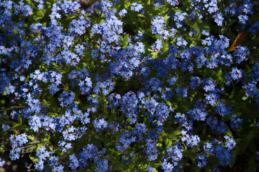 Similar image 7474130