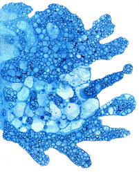 Similar image 7474138