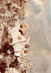 Similar image 7474139