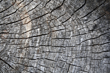 Similar image 7474141