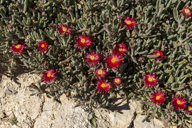 Similar image 7474168