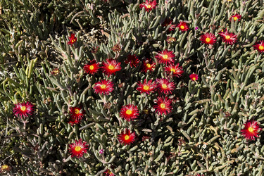 Similar image 7474170