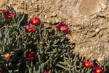 Similar image 7474172