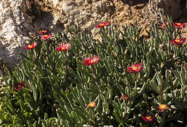 Similar image 7474173