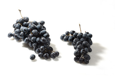 Similar image 7474231