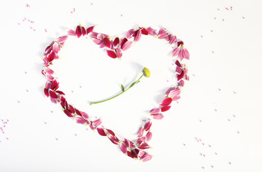 Similar image 7474233