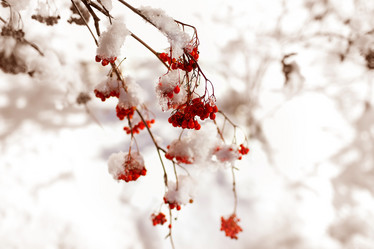 Similar image 7474257