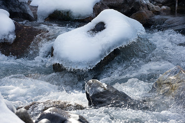 Similar image 7474272