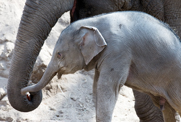 Similar image 7474285