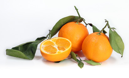 Similar image 7474286