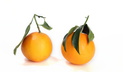 Similar image 7474291