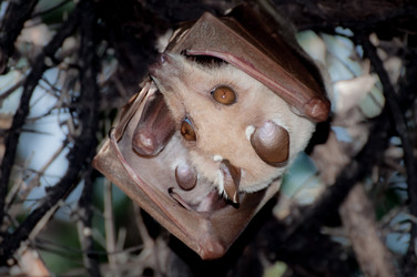 Similar image 7474304