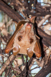 Similar image 7474305