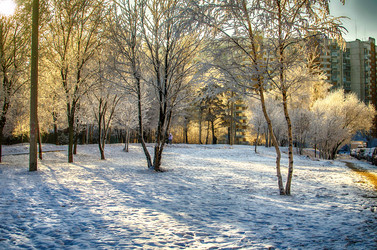 Similar image 7474350