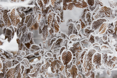 Similar image 7474368