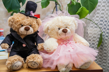 Similar image 7474482