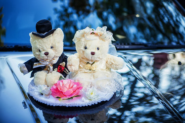 Similar image 7474498