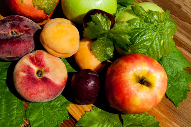 Similar image 7474499