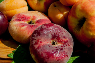 Similar image 7474500