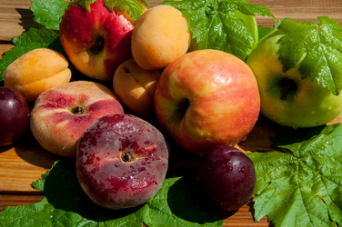 Similar image 7474501