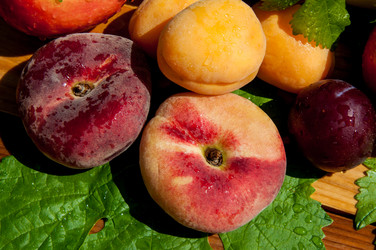 Similar image 7474502