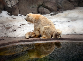 Similar image 7474515