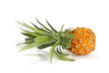 Similar image 7474518